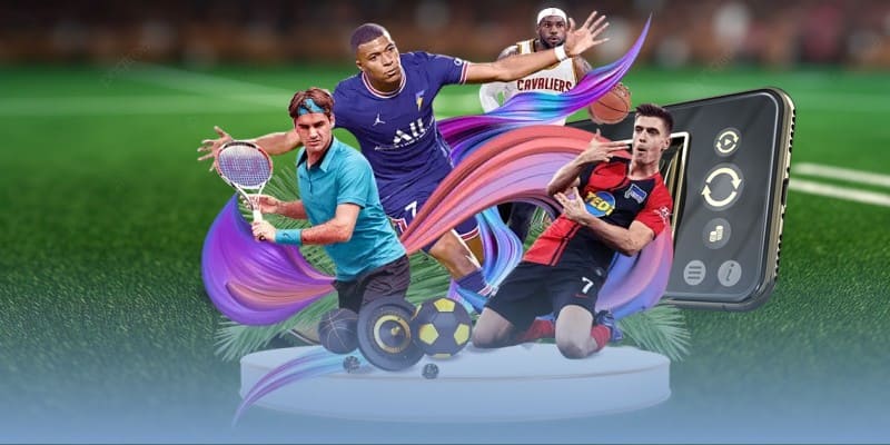 kim66 giải trí thể thao